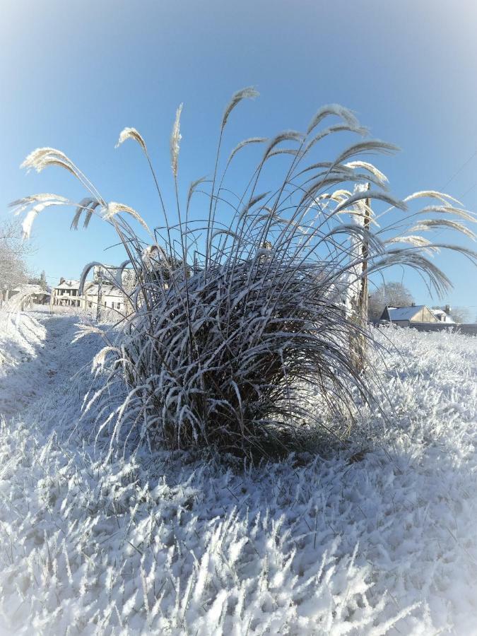 Le Gite Du Chene Rouvre Corbeil-Cerf Exteriér fotografie